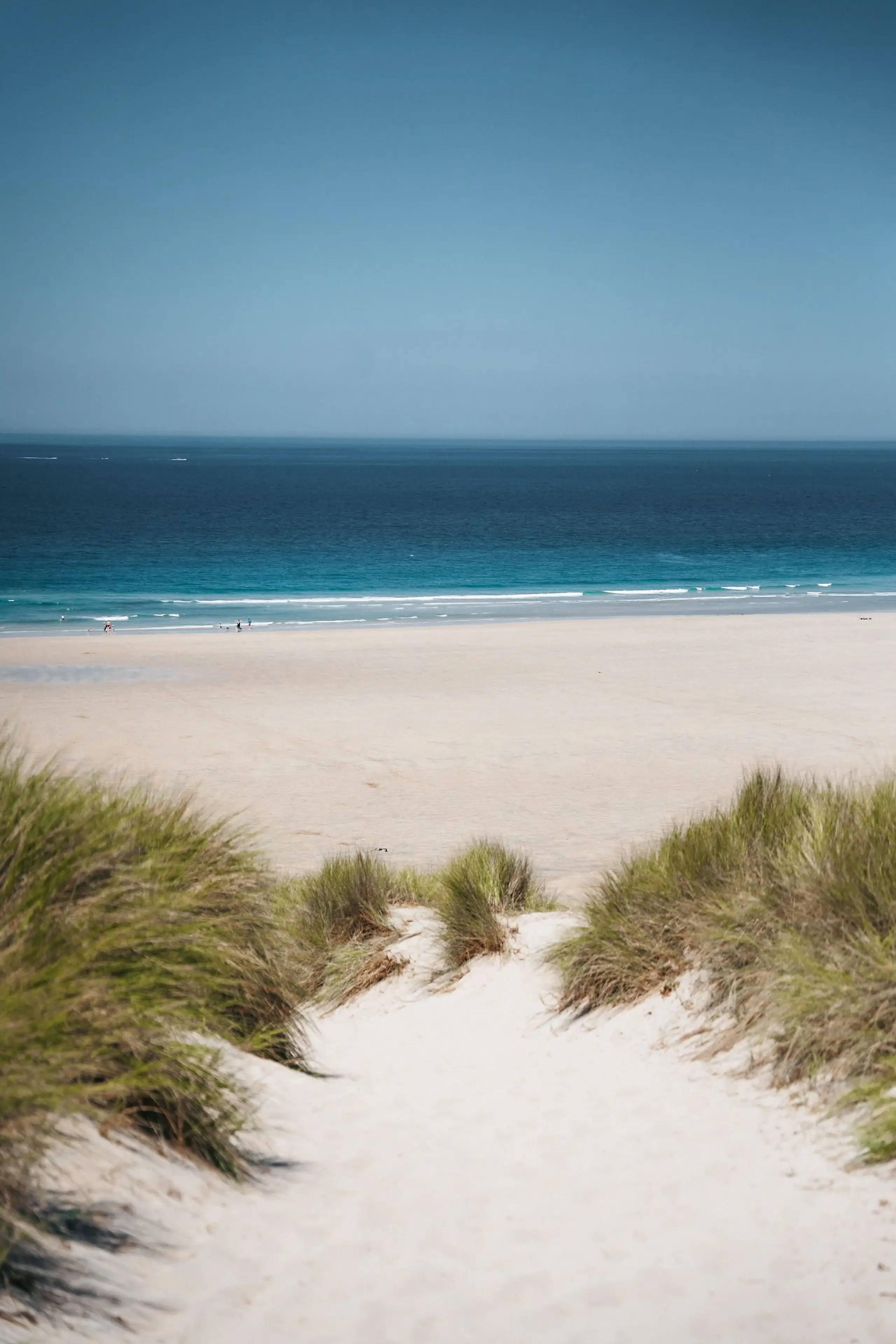 Caminho de areia entre dunas e vegetação levando até a praia