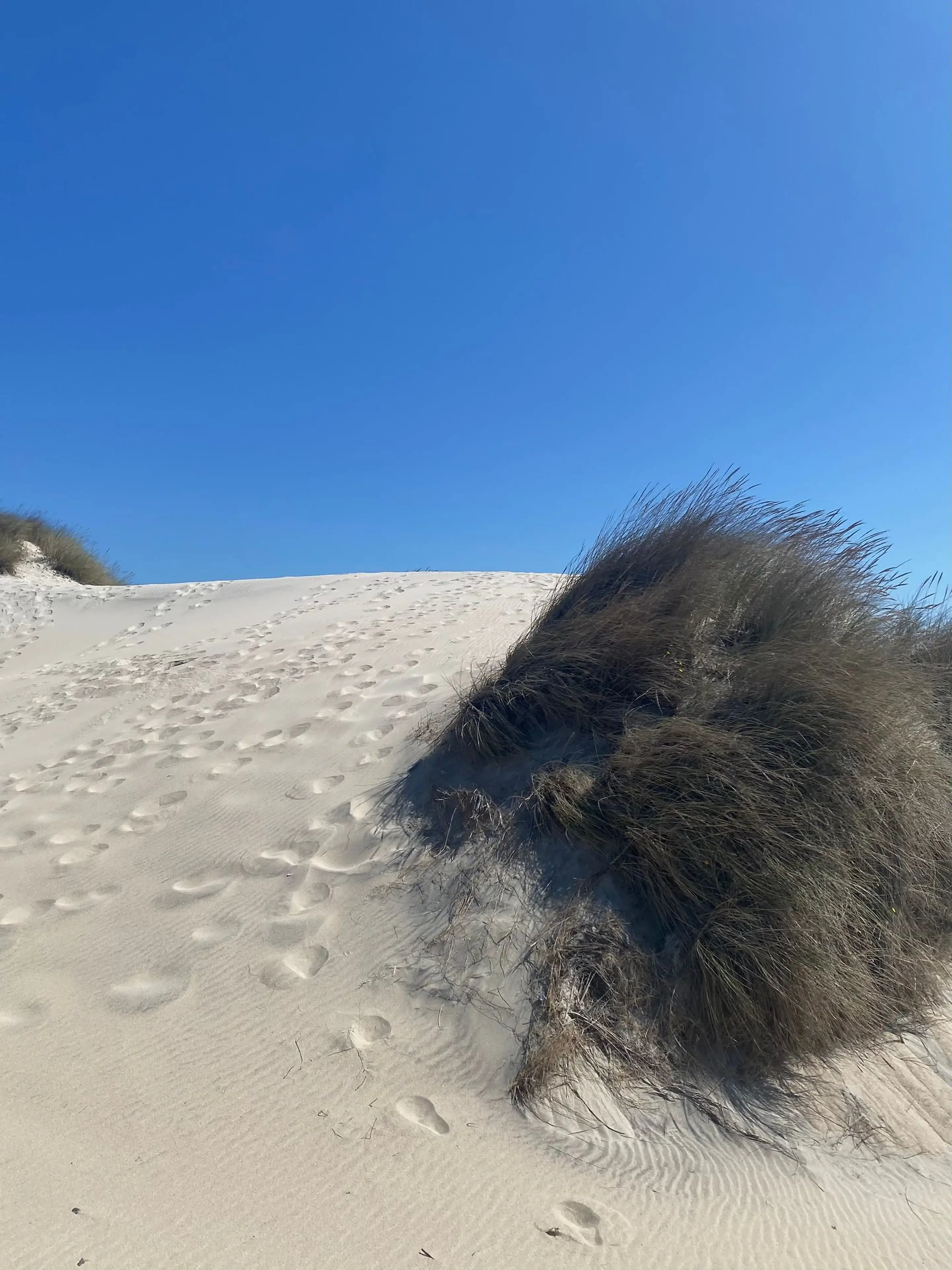Texturas de areia branca, pegadas e gramíneas sobre uma duna