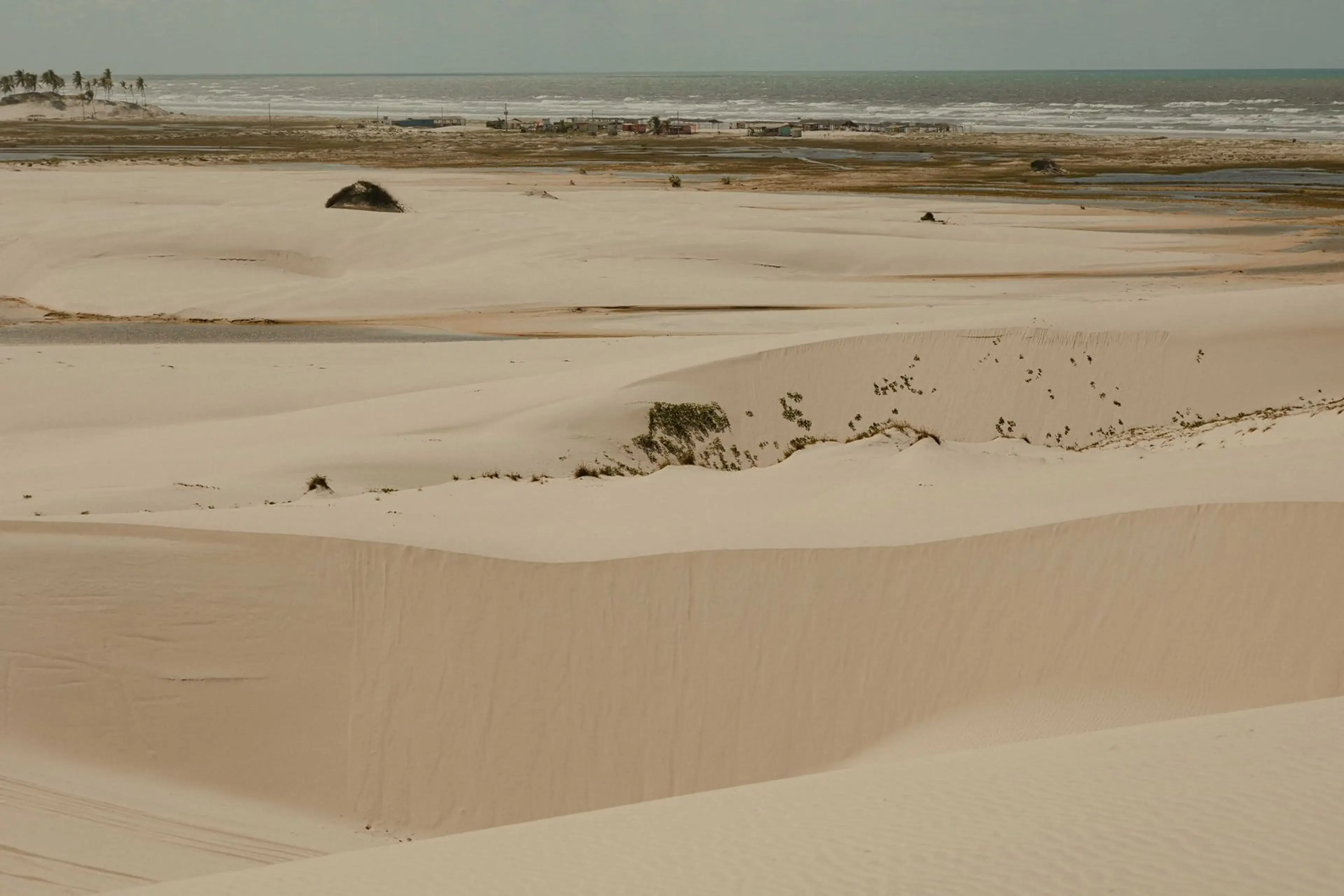 Campo de dunas claras avançando em direção ao oceano