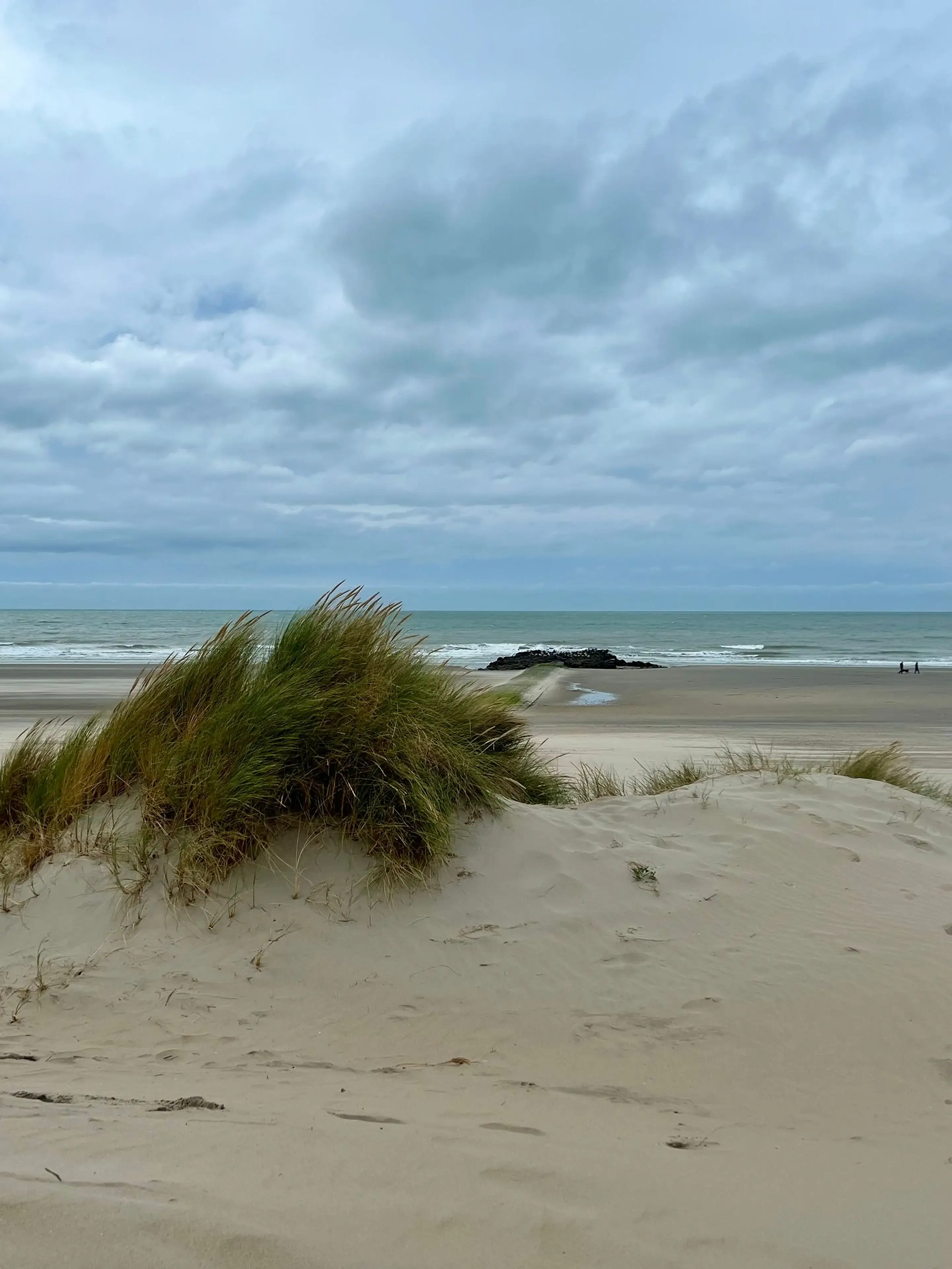 Dunas com gramíneas diante de uma praia sob céu nublado